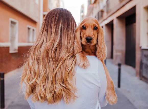 Présentez LovelyTruffe à votre communauté ! Présentez LovelyTruffe à votre communauté !