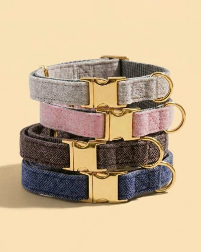 Colliers pour chien