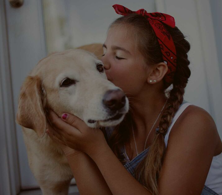 Un Bijou, un Lien, une Histoire