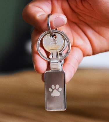 Accessoires pour les maîtres