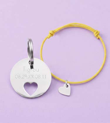 Accessoires pour les maîtres