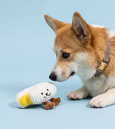 Jouets pour chien et chat