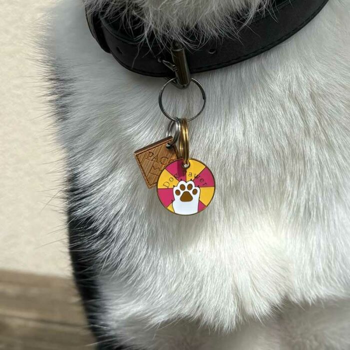 Médaille chien gravée acier émaillé doré Dog Pawer - taille M (25mm)