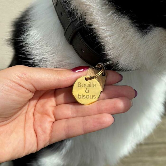 Médaille chien gravée acier émaillé doré Dog Pawer - taille M (25mm)