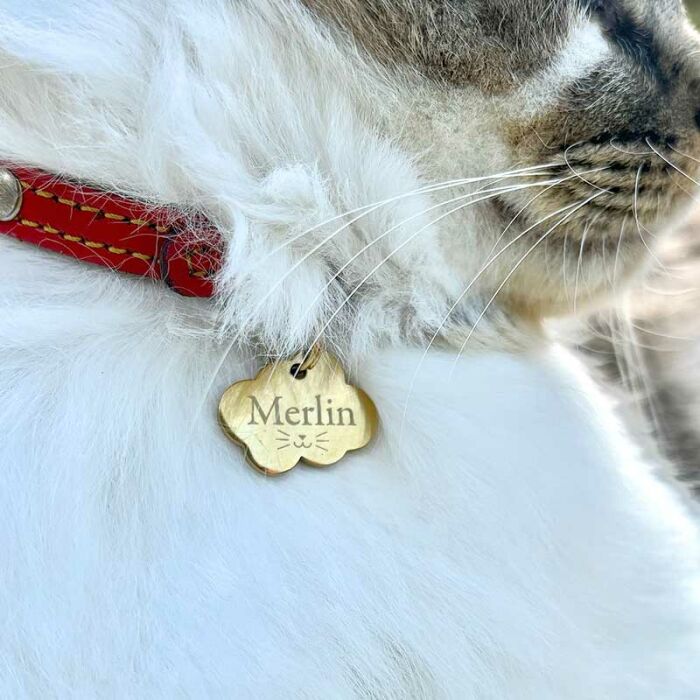 Médaille chat gravée acier inoxydable doré nuage - Taille M (36x25 mm)