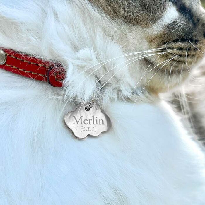 Médaille chat gravée acier inoxydable nuage - Taille M (36x25 mm)