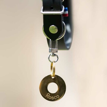 Médaille chien gravée acier inoxydable doré cible - Taille M (22 mm)