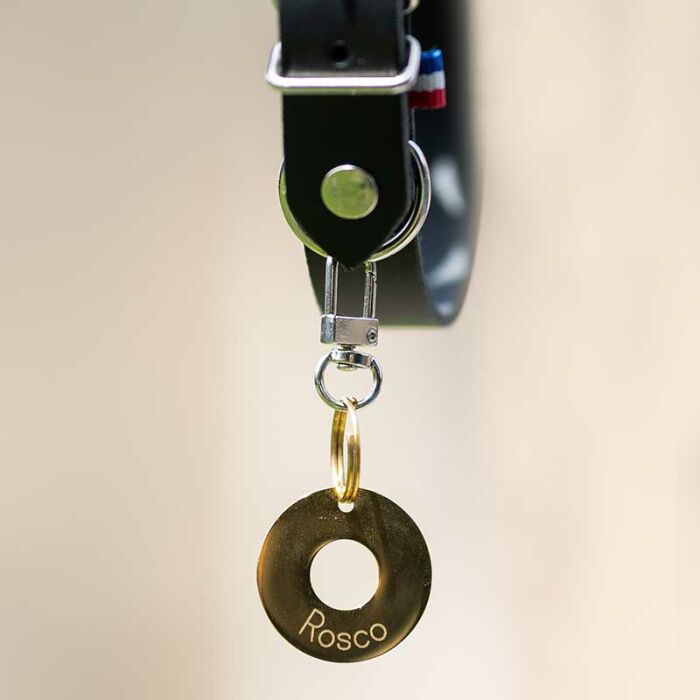 Médaille chien gravée acier inoxydable doré cible - Taille M (22 mm)