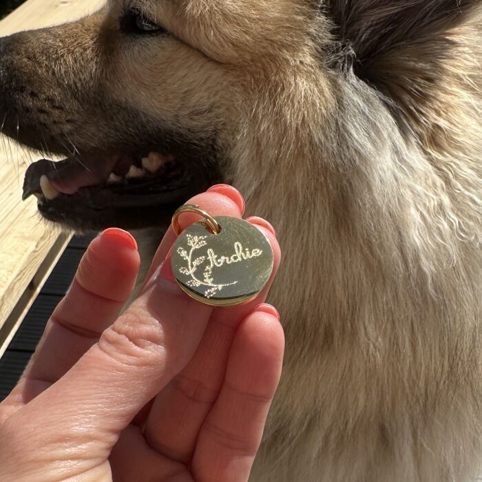 Médaille chien gravée acier inoxydable ronde SILENE - Taille M (22 mm)