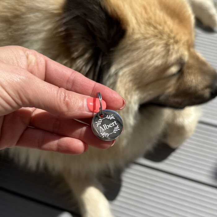 Médaille chien gravée acier inoxydable ronde EGLANTINE - Taille M (22 mm)