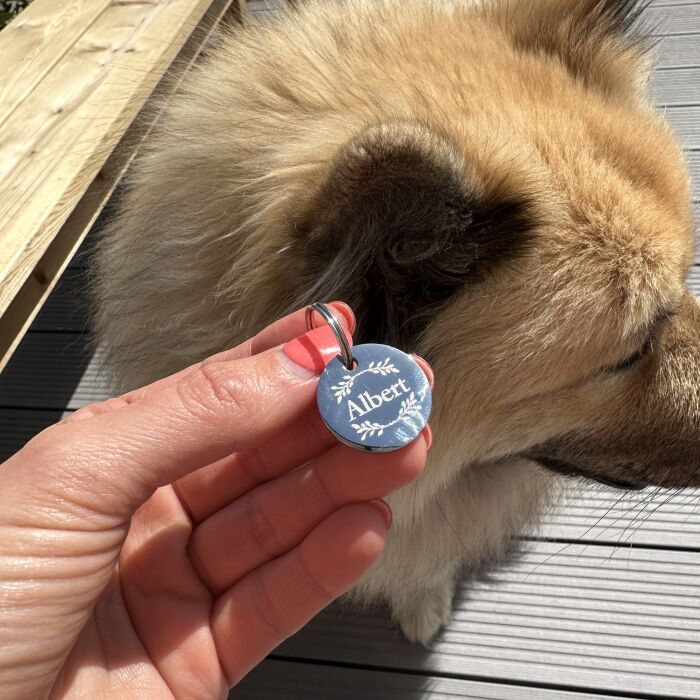 Médaille chien gravée acier inoxydable ronde EGLANTINE - Taille M (22 mm)