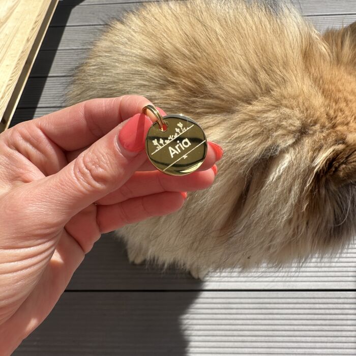 Médaille chien gravée acier inoxydable ronde ANEMONE - Taille M (22 mm)