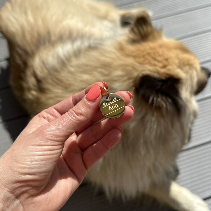 Médaille chien gravée acier inoxydable ronde ANEMONE - Taille M (22 mm)