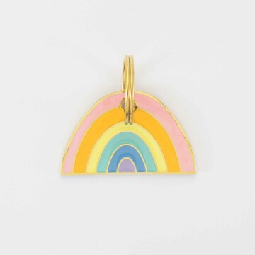 Médaille chien gravée acier inoxydable émaillé doré Arc en Ciel - Taille L (40x25 mm)