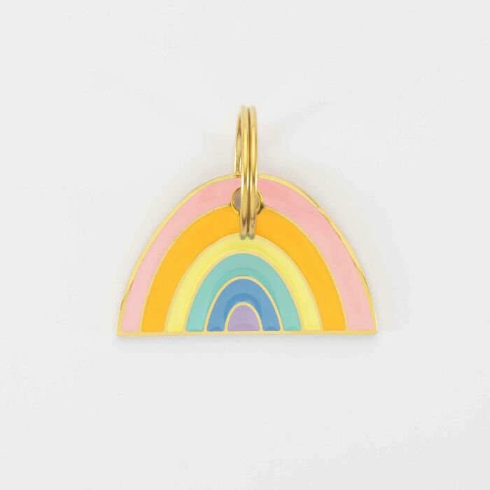 Médaille chien gravée acier inoxydable émaillé doré Arc en Ciel - Taille L (40x25 mm)