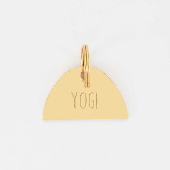 Médaille chien gravée acier inoxydable émaillé doré Arc en Ciel - Taille L (40x25 mm)