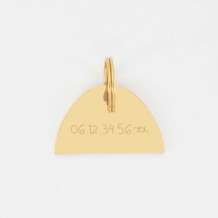 Médaille chien gravée acier inoxydable émaillé doré Arc en Ciel - Taille L (40x25 mm)