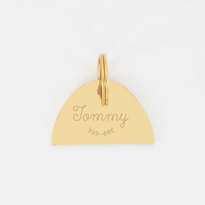 Médaille chien gravée acier inoxydable émaillé doré Arc en Ciel - Taille L (40x25 mm)