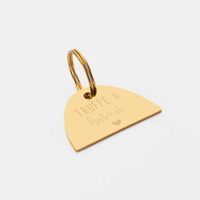 Médaille chien gravée acier inoxydable émaillé doré Arc en Ciel - Taille L (40x25 mm)