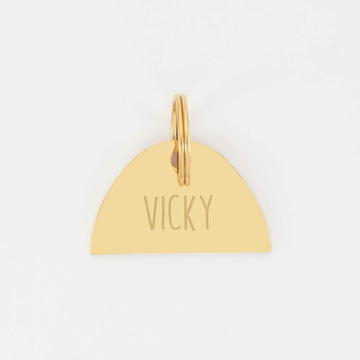 Médaille chien gravée acier inoxydable émaillé doré Arc en Ciel - Taille L (40x25 mm)