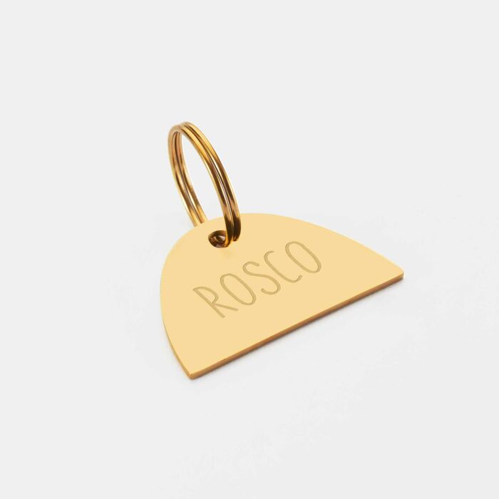 Médaille chien gravée acier inoxydable émaillé doré Arc en Ciel - Taille L (40x25 mm)