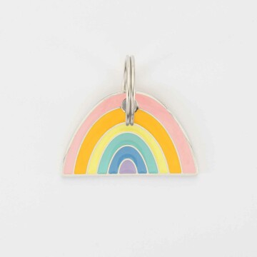 Médaille chien gravée acier inoxydable émaillé Arc en Ciel - Taille L (40x25 mm)
