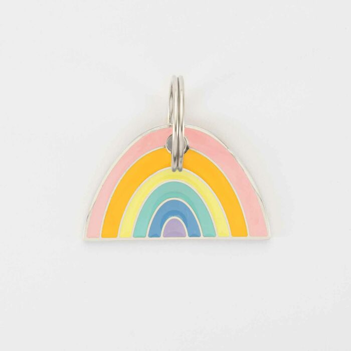 Médaille chien gravée acier inoxydable émaillé Arc en Ciel - Taille L (40x25 mm)