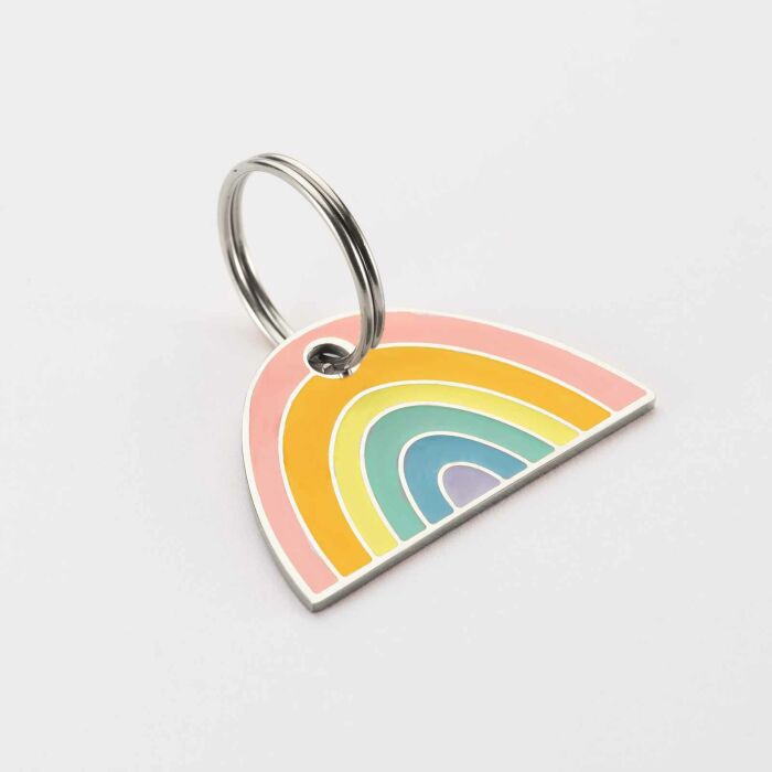Médaille chien gravée acier inoxydable émaillé Arc en Ciel - Taille L (40x25 mm)