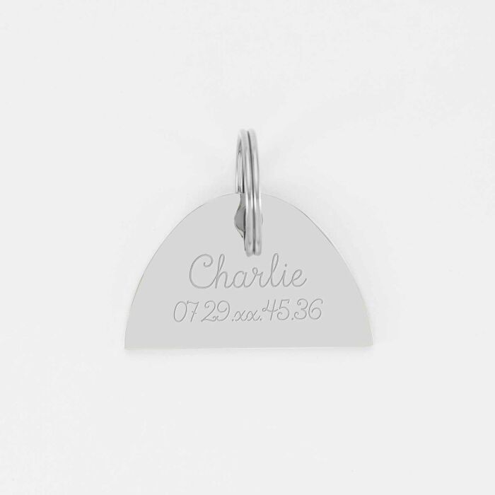 Médaille chien gravée acier inoxydable émaillé Arc en Ciel - Taille L (40x25 mm)