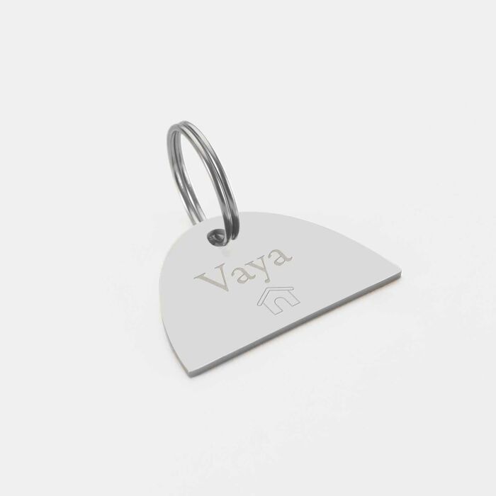 Médaille chien gravée acier inoxydable émaillé Arc en Ciel - Taille L (40x25 mm)