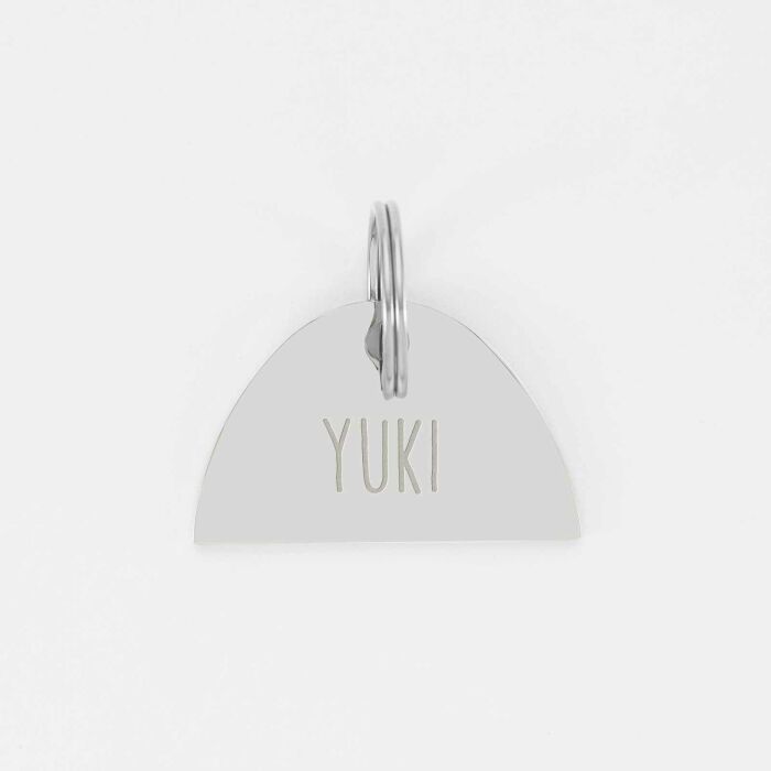 Médaille chat gravée acier inoxydable émaillé Arc en Ciel - Taille L (40x25 mm)