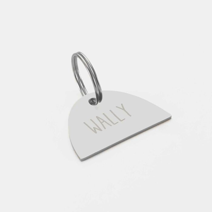 Médaille chat gravée acier inoxydable émaillé Arc en Ciel - Taille L (40x25 mm)