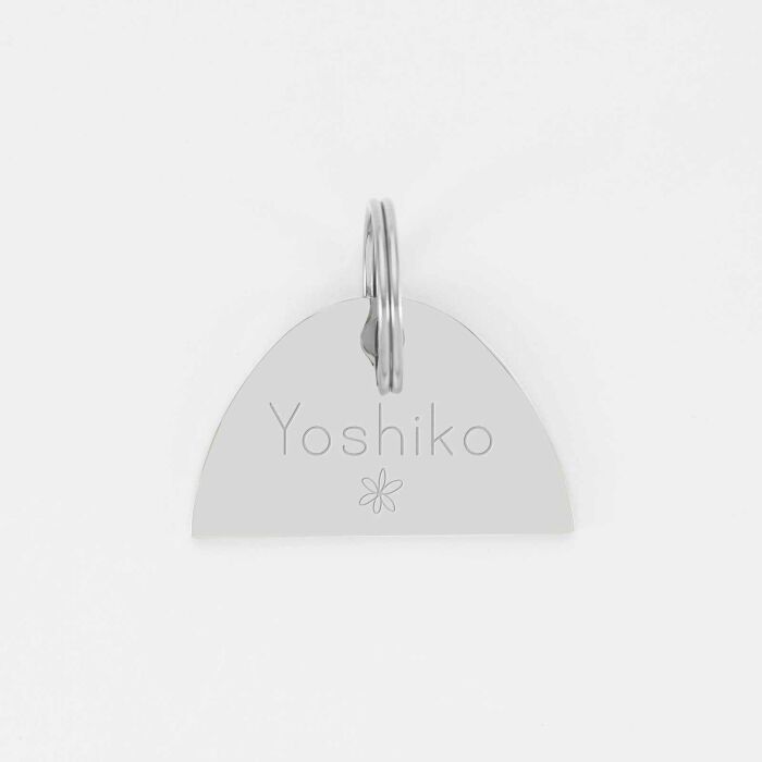 Médaille chat gravée acier inoxydable émaillé Arc en Ciel - Taille L (40x25 mm)