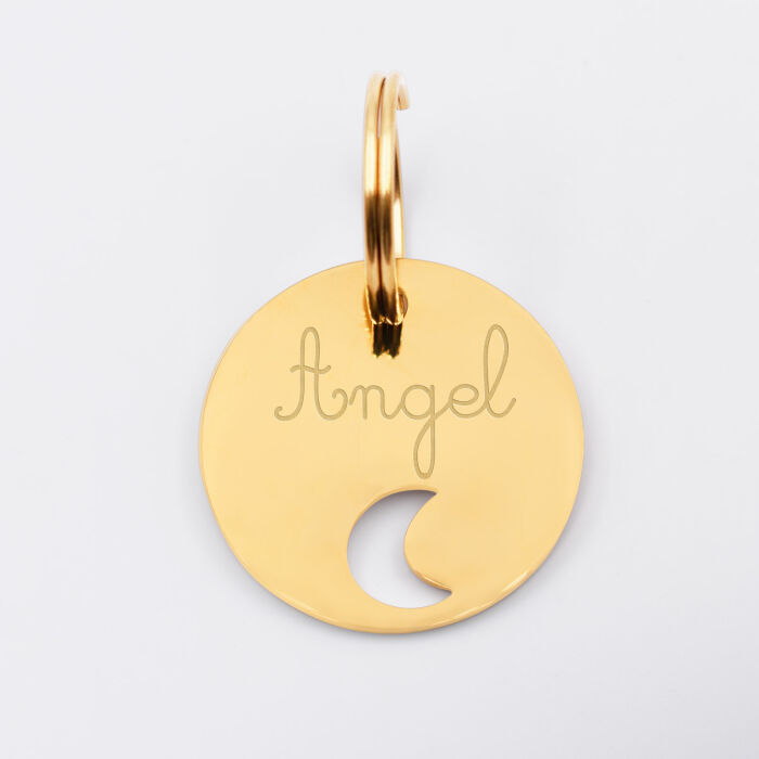 Duo de médaille pour chien gravée ajourée et bracelet acier inoxydable "lune"