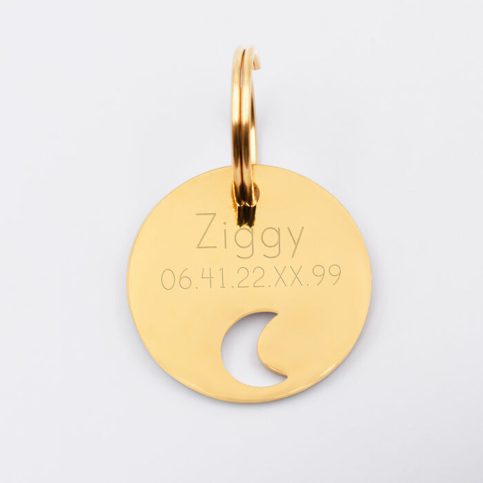 Duo de médaille pour chat gravée ajourée et bracelet acier inoxydable doré "lune"