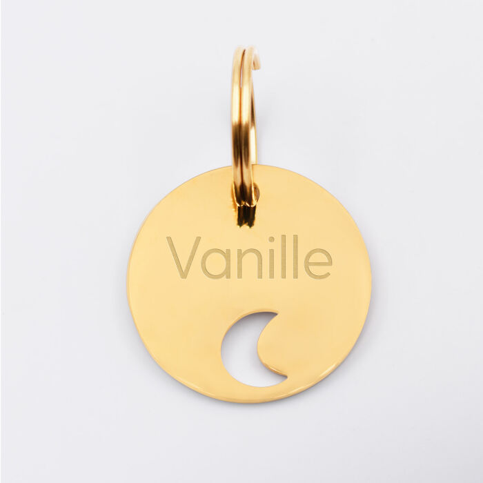 Duo de médaille pour chat gravée ajourée et bracelet acier inoxydable doré "lune"