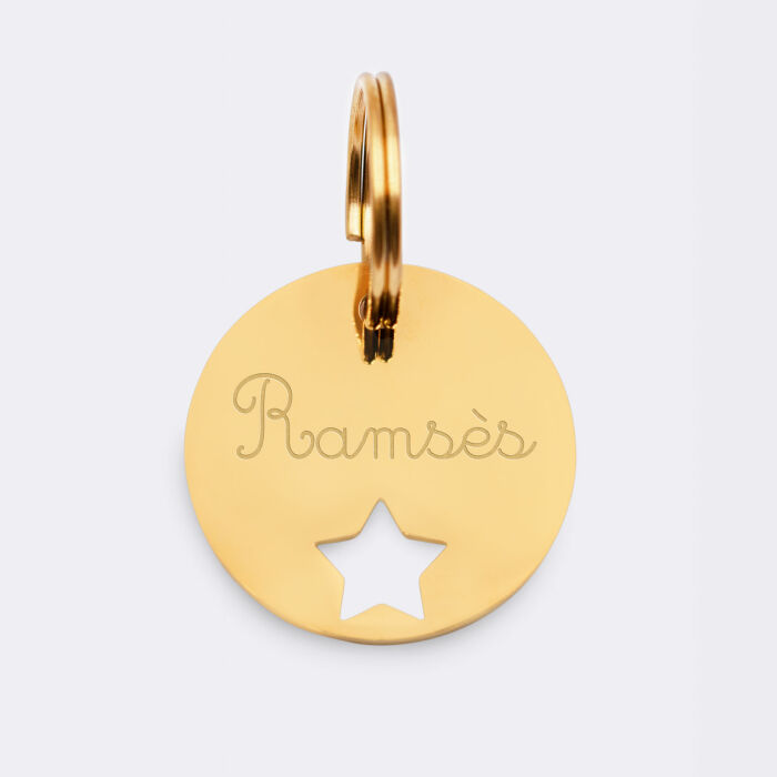 Duo de médaille pour chien gravée ajourée et bracelet acier inoxydable doré "étoile"