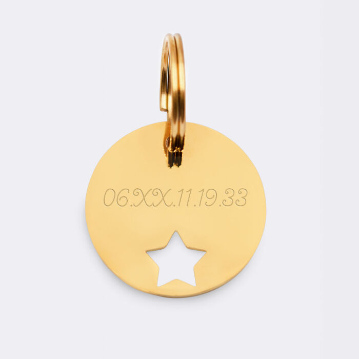 Duo de médaille pour chien gravée ajourée et bracelet acier inoxydable doré "étoile"