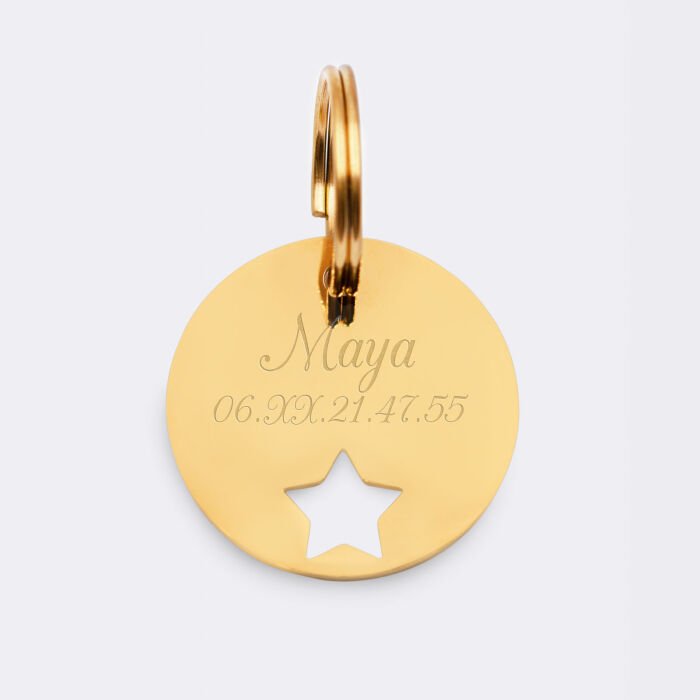 Duo de médaille pour chat gravée ajourée et bracelet acier inoxydable doré "étoile"