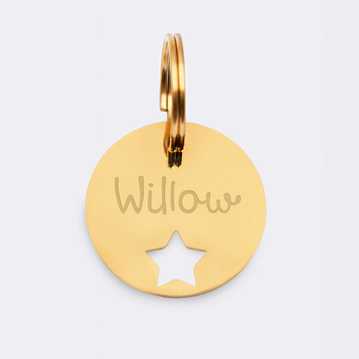 Duo de médaille pour chat gravée ajourée et bracelet acier inoxydable doré "étoile"