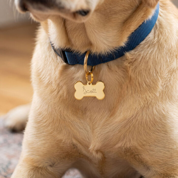 Médaille chien gravée acier inoxydable doré os - Taille M (36x25 mm) - ambiance