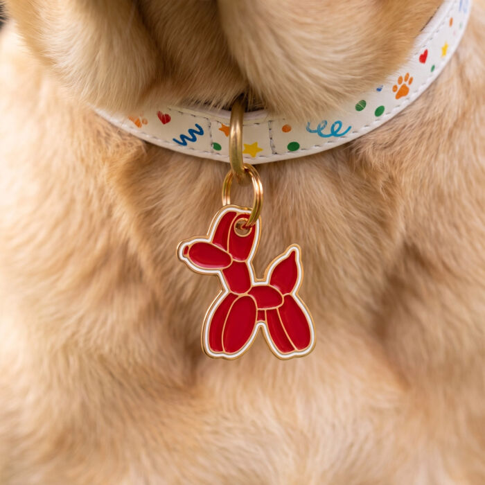 Médaille chien gravée acier inoxydable émaillé doré chien ballon - Taille M (30x28 mm) - porté