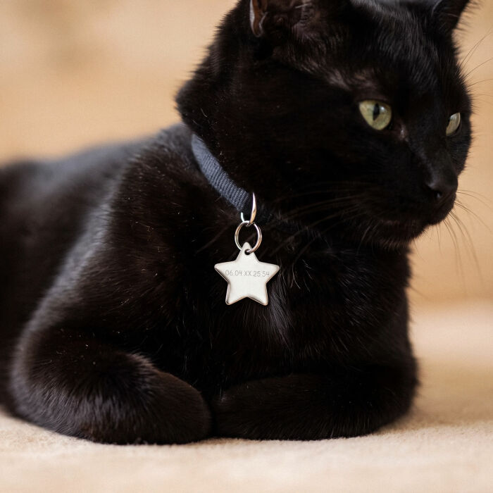 Médaille chat gravée acier inoxydable petite étoile - Taille M (25x23 mm) - porté