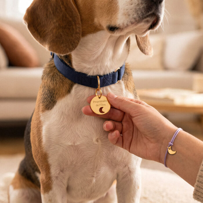 Duo de médaille pour chien gravée ajourée et bracelet acier inoxydable doré "lune" - porté