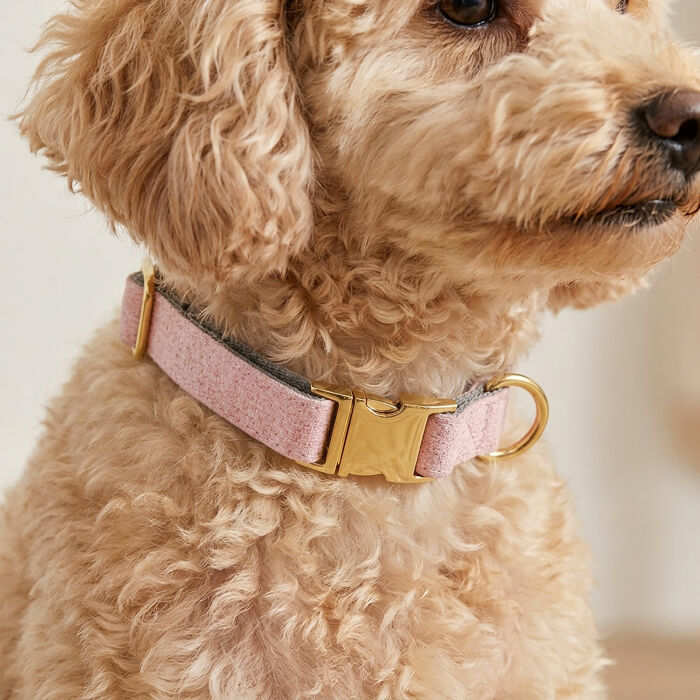Collier chien tissu Tweed rose réglable