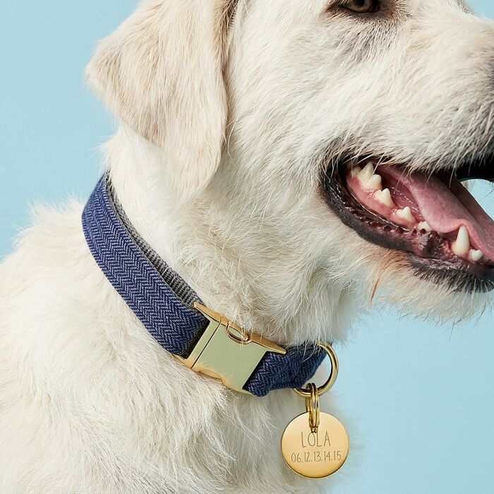Collier chien tissu Chevron bleu réglable