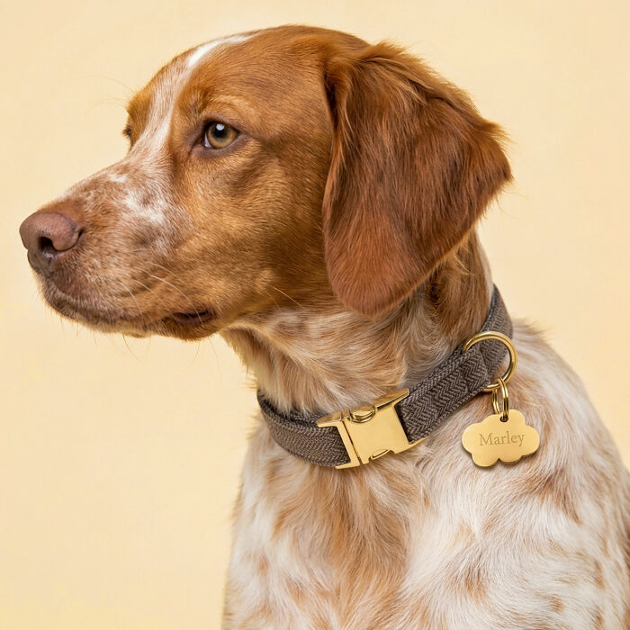 Collier chien tissu Chevron marron réglable