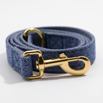 Laisse chien tissu chevron bleu 2,5x121 cm