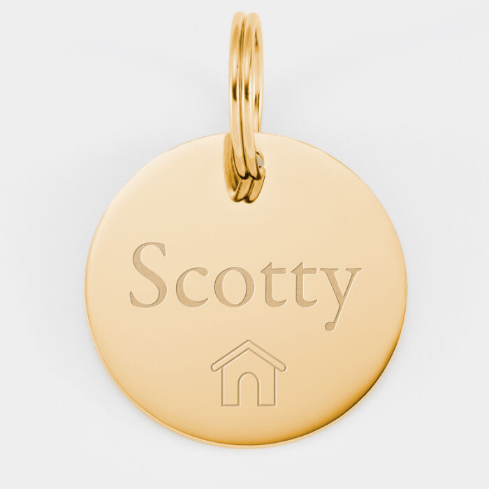 Médaille personnalisée métal doré gravé 33 mm - nom+pictogramme
