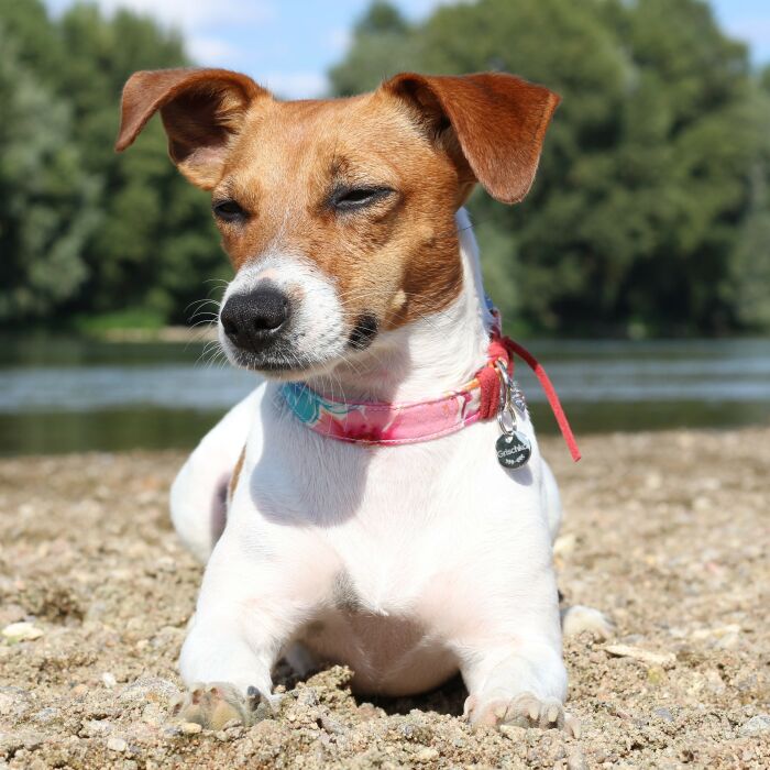 Médaille personnalisée métal argenté gravé 16 mm - porté 2